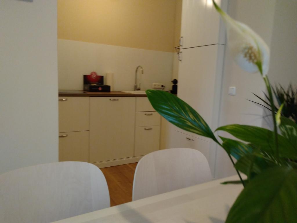 Sabines Apartments Ferienwohnungen Фрауэнкирхен Экстерьер фото