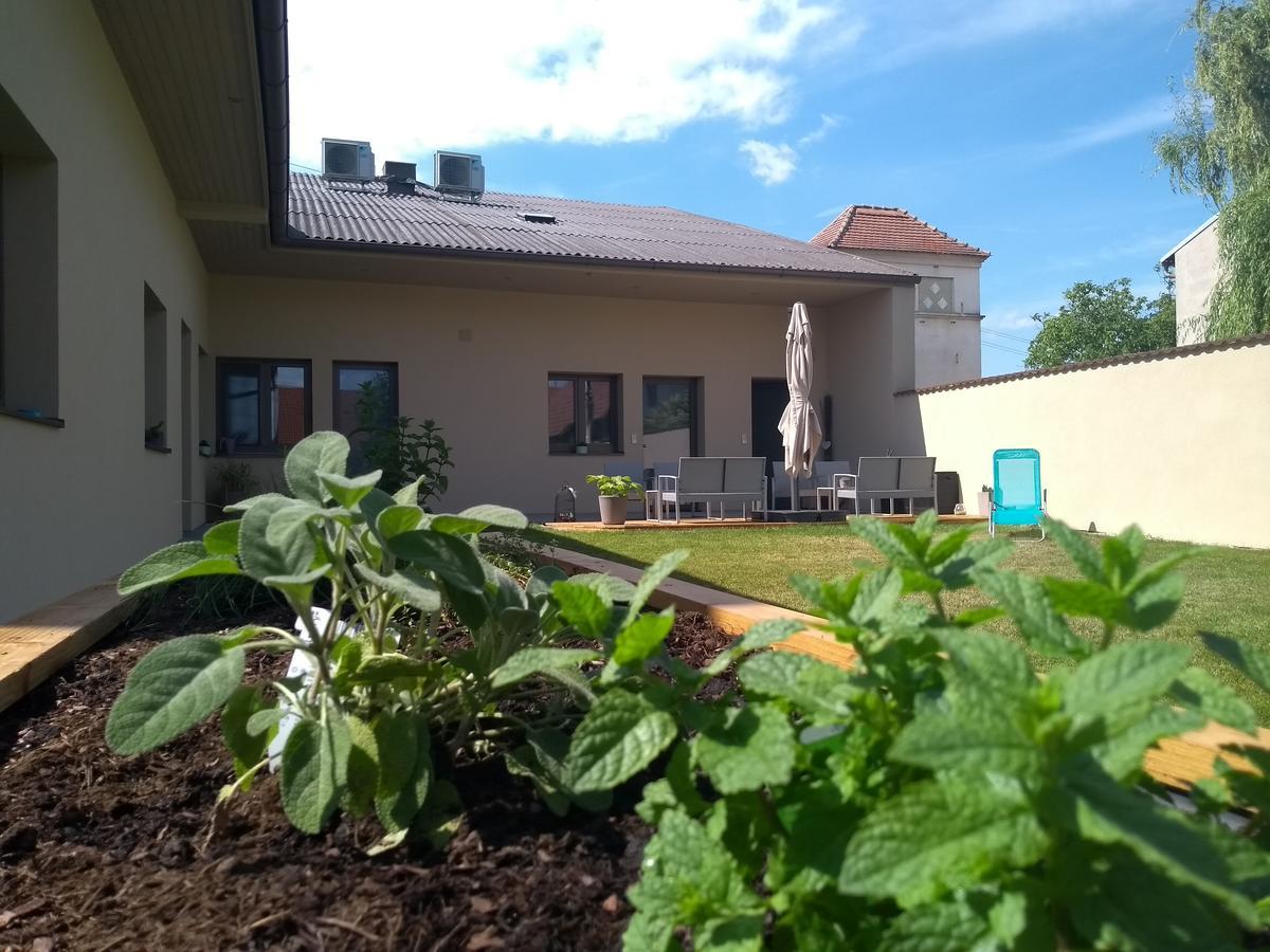 Sabines Apartments Ferienwohnungen Фрауэнкирхен Экстерьер фото